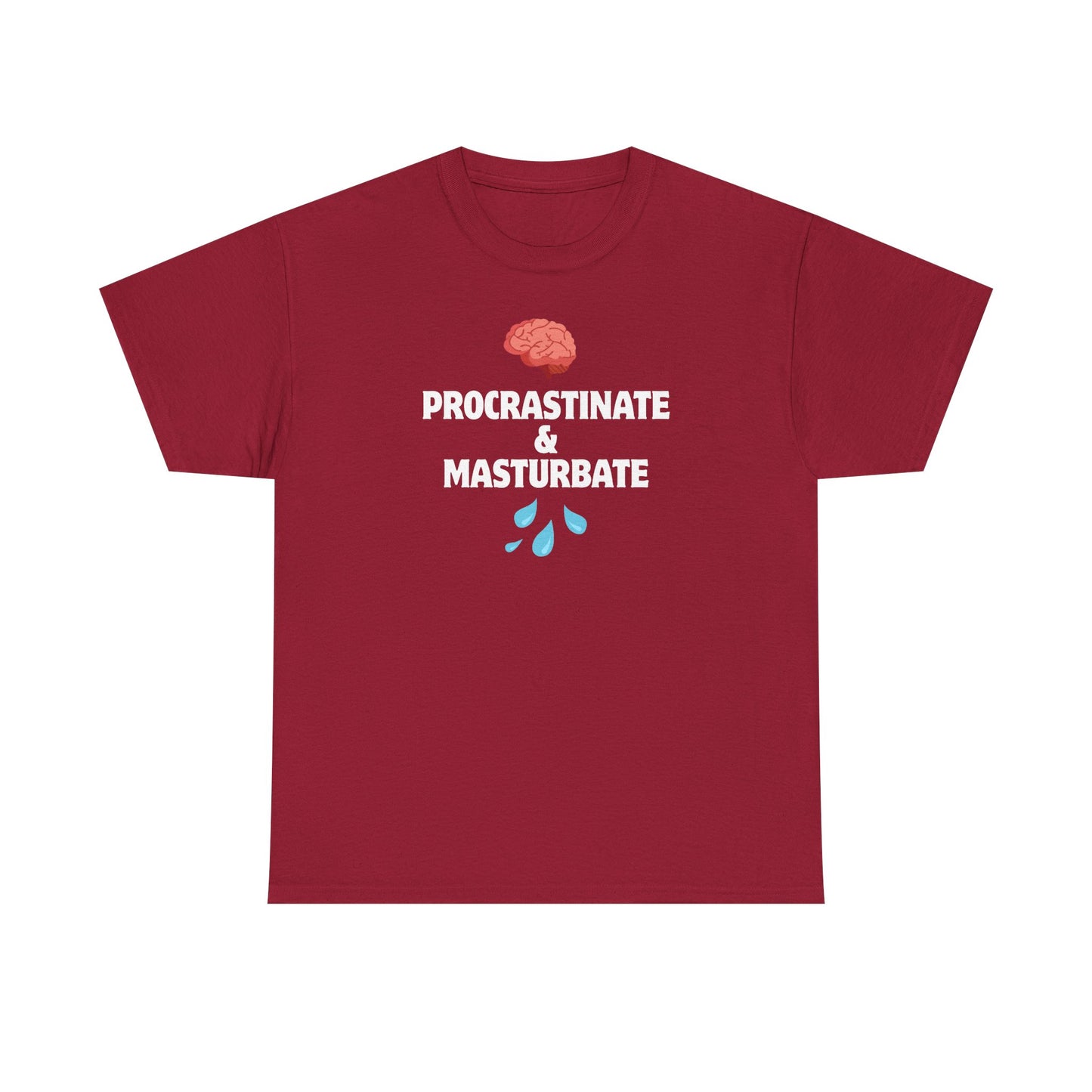 "Procrastinate & Masturbate" Funny Unisex Heavy Cotton Tee