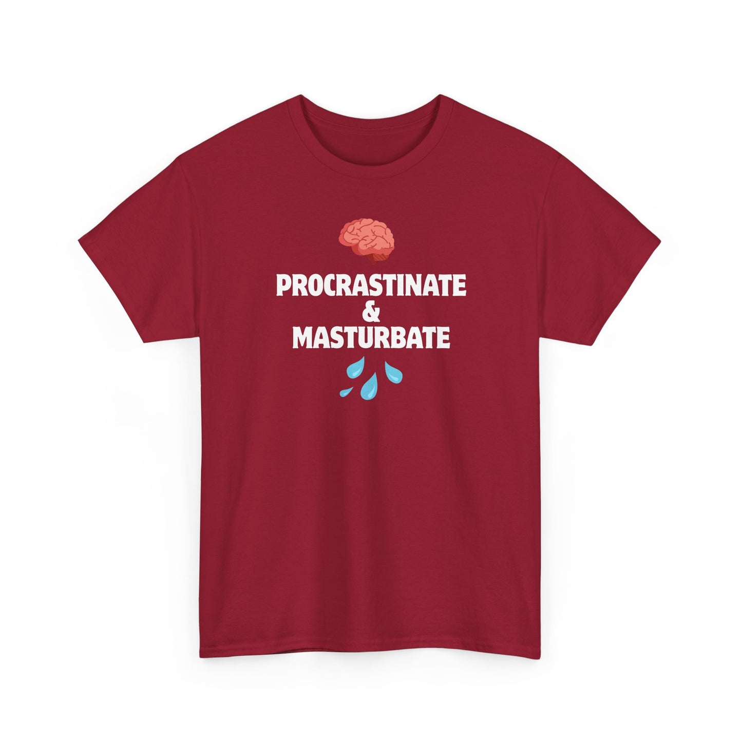 "Procrastinate & Masturbate" Funny Unisex Heavy Cotton Tee